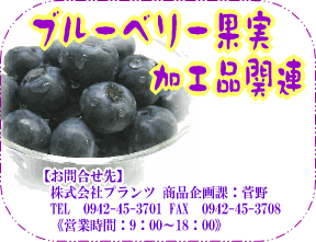 ブルーベリー果実・加工品関連