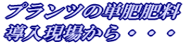 �v�����c�̒P��엿 �@�@�������ꂩ��E�E�E