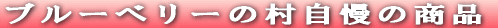 �u���[�x���[�̑������̏��i 
