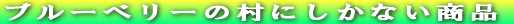 �u���[�x���[�̑������̏��i 