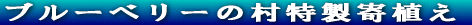 �u���[�x���[�̑������̏��i 