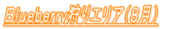 Blueberry狩りエリア(8月)