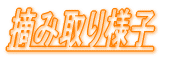 �a�������������������G���A�i�W���j