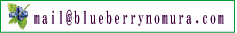 �u���[�x���[�̑����[��