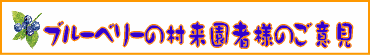 ブルーベリーの村来園者様のご意見